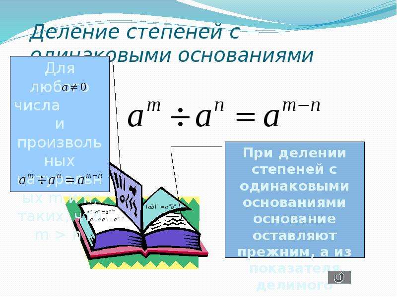 Одинаковые основания