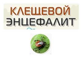 Клещевой энцефалит