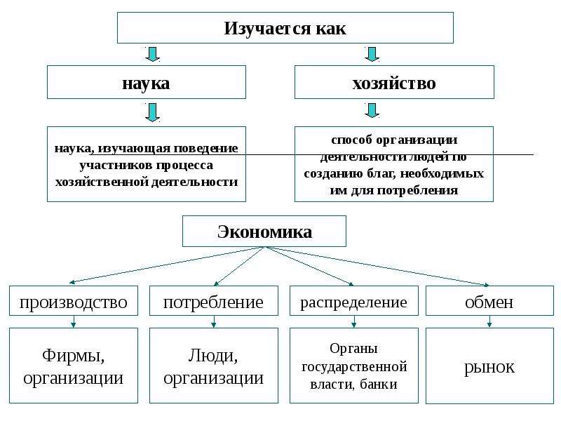 Экономика как хозяйство план егэ