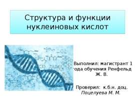 Структура и функции нуклеиновых кислот