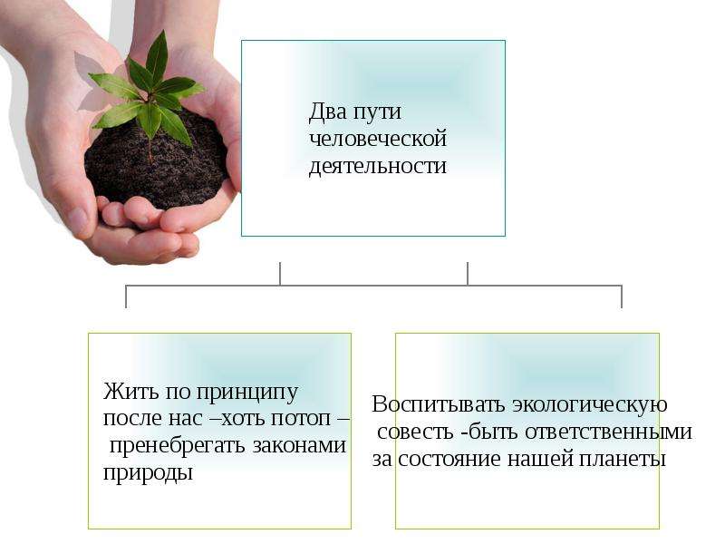 Состояние биосферы. Влияние деятельности человека. Влияние деятельности человека на состояние биосферы. Деятельность человека в биосфере. Воздействие человека на биосферу.