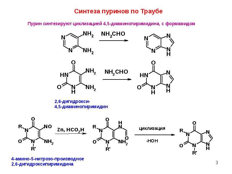 Система пурина