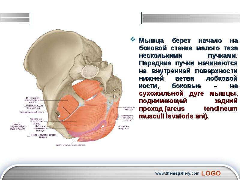 В боковой стенке