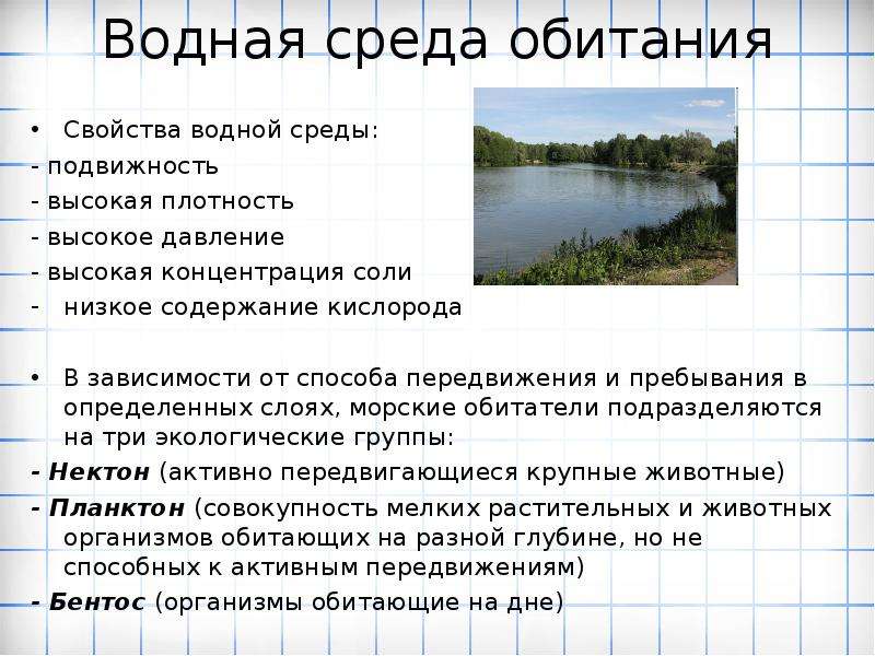 Вода плотная среда. Плотность водной среды обитания. Сра обитаней полнотност. Водная среда обитания плотность высокая. Давление в водной среде обитания.