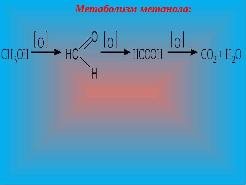 Окислением метанола получают. Метаболизм метанола. Окисление метанола в организме. Биотрансформация метанола. Схема метаболизма метанола.