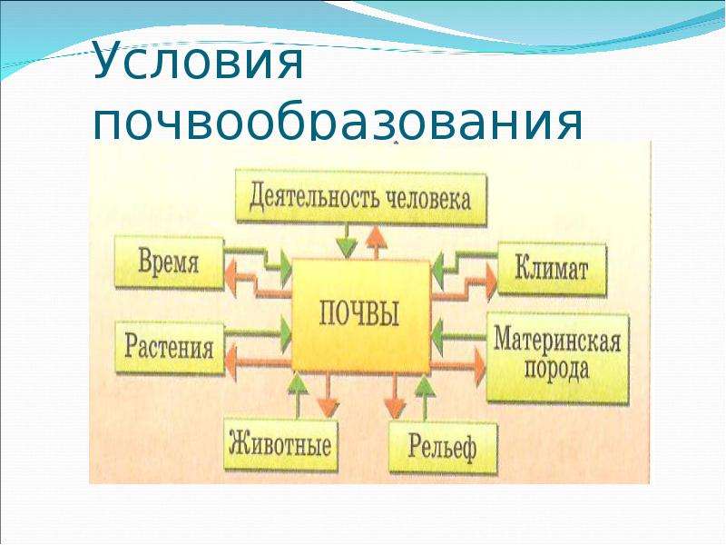 Факторы почвообразования