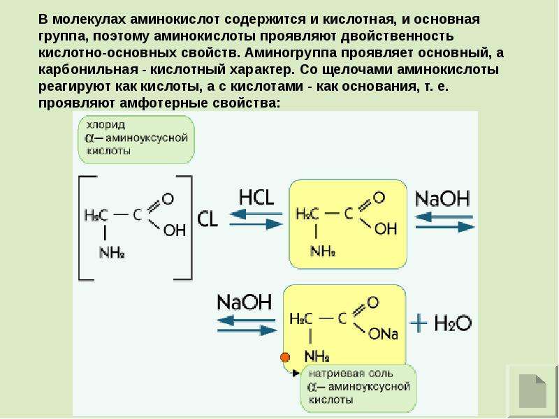 Химические свойства аминокислот презентация