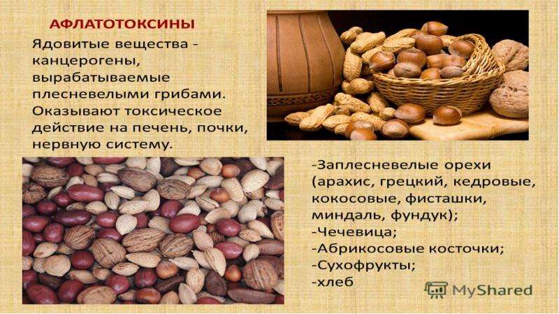 Качество пищевых продуктов проект