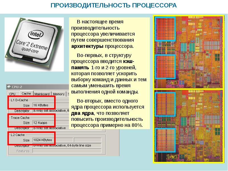 Чем будет отличаться упрощенная логическая схема двухъядерного процессора от упрощенной