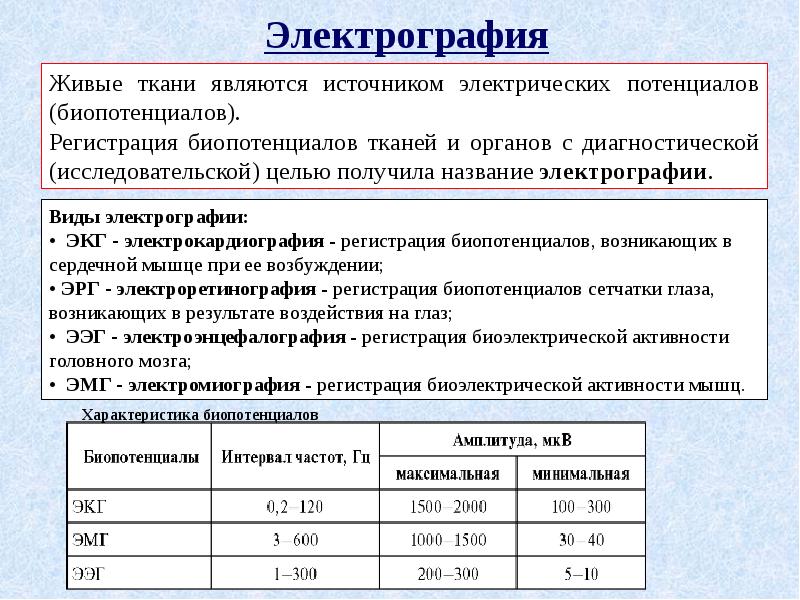 Электрография экг один из важных методов исследования