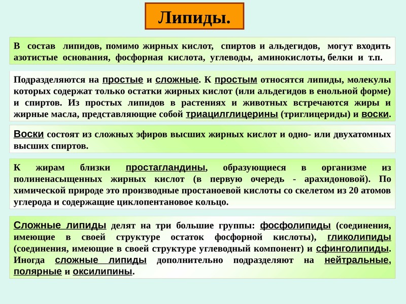 Липиды обязательны. Функции липидов. Липиды и их функции в организме. Особенности строения липидов. Какие функции выполняют липиды.