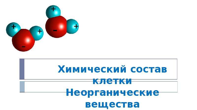 Карта осадков хвойная новгородская