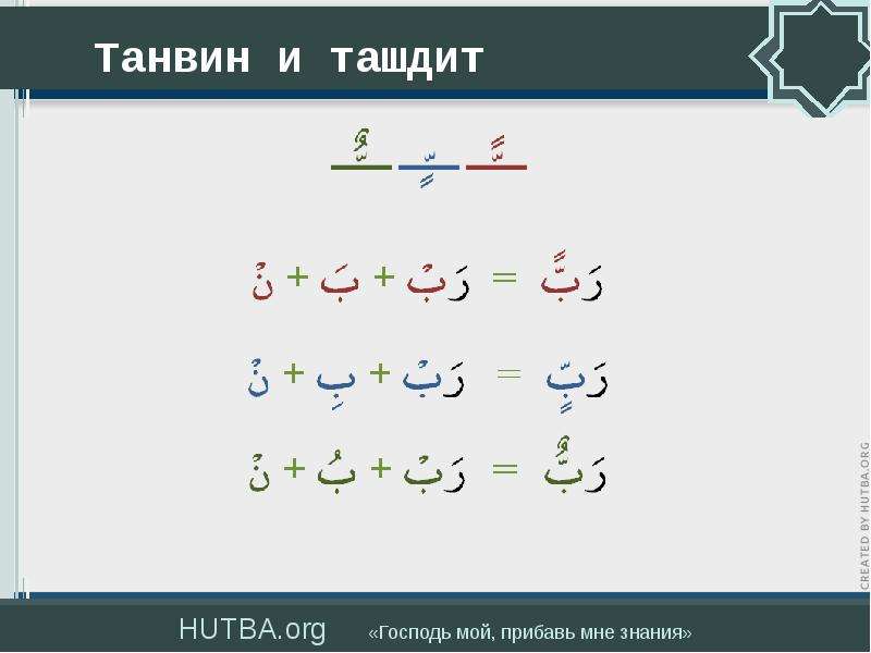 Айман сувейд таджвид в картинках