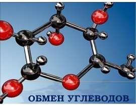 Обмен углеводов. Углеводы как химические соединения. Функции углеводов