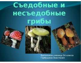 Съедобные и несъедобные грибы