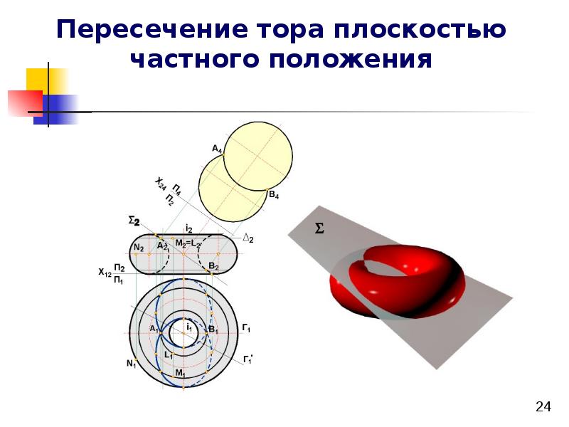 Образование поверхностей. Пересечение тора. Сечение тора плоскостью. Пересечение тора плоскостью. Пересечение тора плоскостью частного положения.