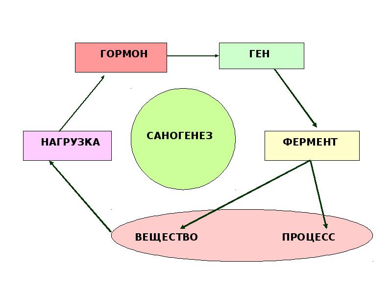 Биопсихосоциальная концепция В. М. Бехтерева и её реализация в реабилитации психически больных, слайд 18