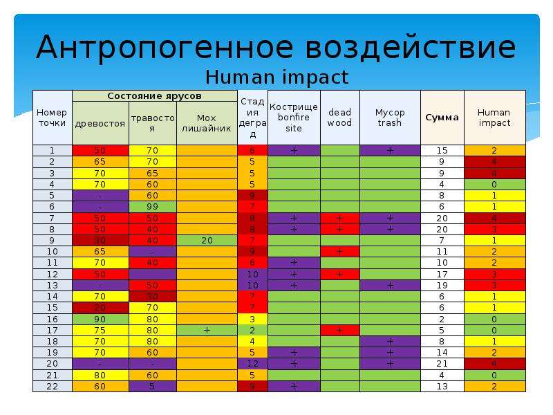 Экологическая оценка проекта пример