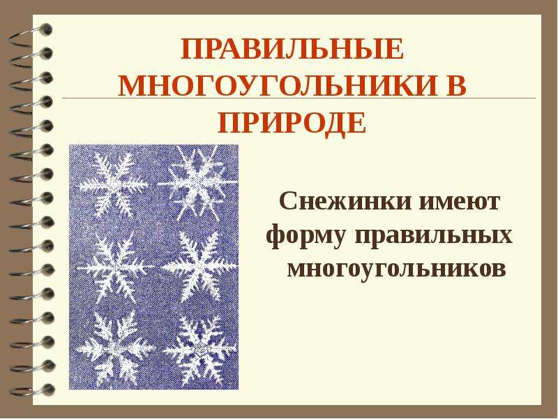 Многоугольники в природе. Правильные многоугольники в природе снежинки. Снежинки имеют правильную форму многоугольника. Правильные многоугольники в природе презентация. Звездчатые многоугольники в природе.