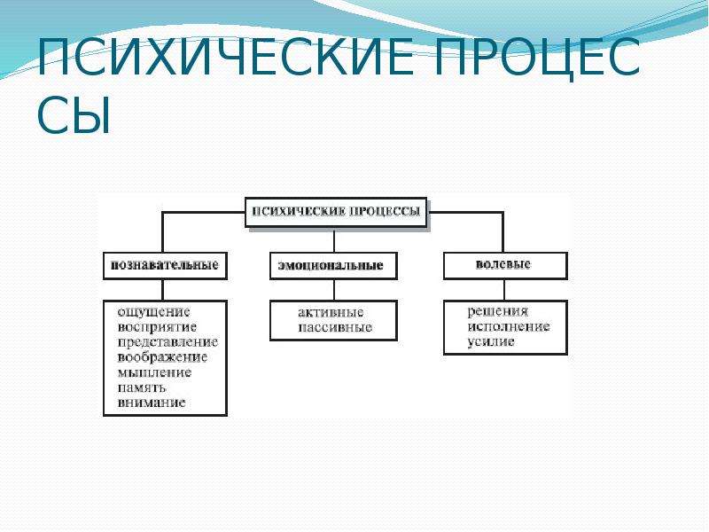 Основные психические процессы