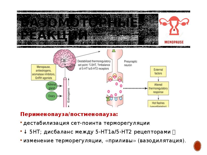 Вазомоторные реакции. Перименопаузальный. Пре- Мено- и постменопауза.