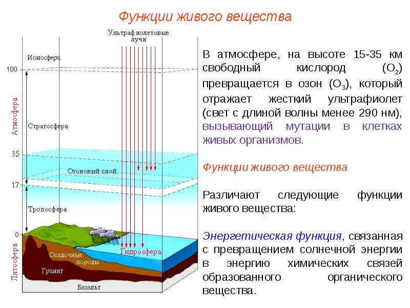 Факторы живого вещества. Биосфера как система. Взаимодействие атмосферы и биосферы. Функции живого вещества в атмосфере. Рассеянное вещество биосферы.