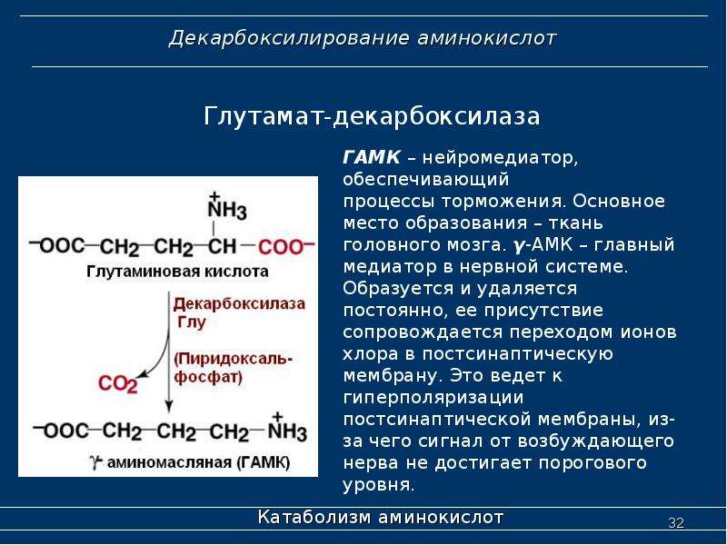 Декарбоксилирование аминокислот презентация