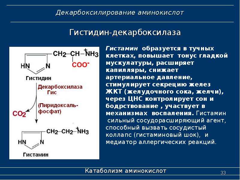 Гистидин для чего. Декарбоксилирование пролина. Декарбоксилирования аминокислоты тирозина. Декарбоксилирование аминокислот цистеин. Декарбоксилирование Серина реакция.