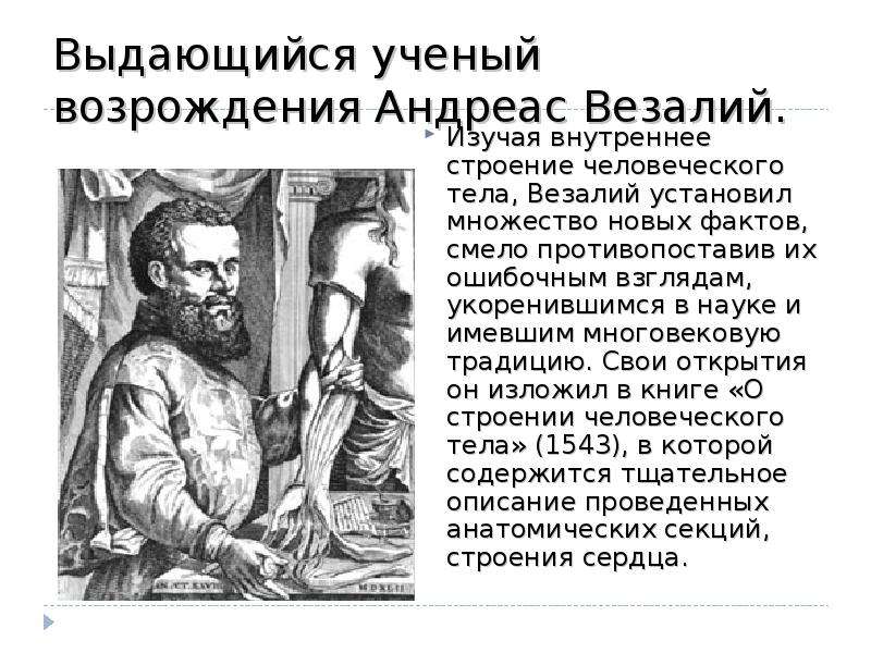 Везалий открытия. Андреас Везалий вклад. Основные открытия андреас Везалий. Андреас Везалий открытия в биологии. Краткая история развития биологии андреас Везалий.