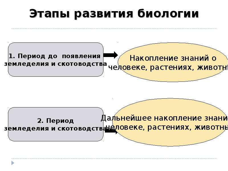 Дай биологию. Этапы развития биологии. Этапы развития биологии презентация. История развития биологии презентация. Основные этапы развития биологии кратко.