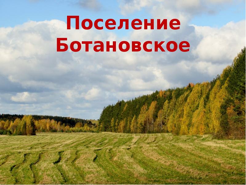 Певцы родной природы э григ п чайковский