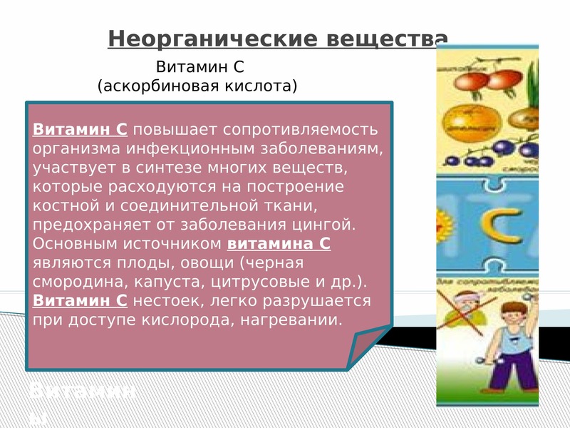 Питание неорганическими веществами. Теоретические основы товароведения продовольственных товаров. Физические и химические свойства продовольственных товаров. Минеральные вещества Товароведение. Пищевые вещества презентация по товароведению.