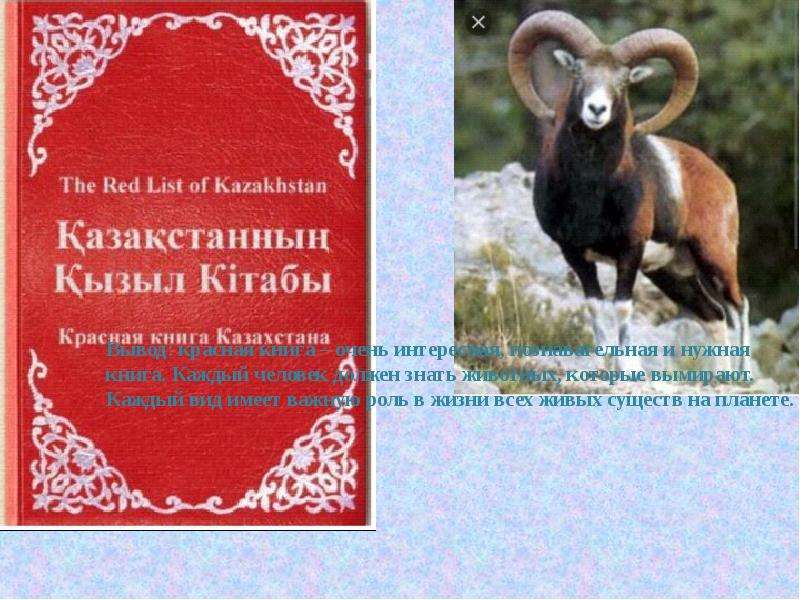 Красная книга карелии презентация