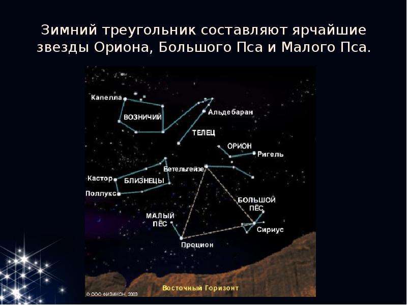 Большой пес созвездие презентация