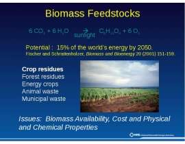 Biomass Feedstocks