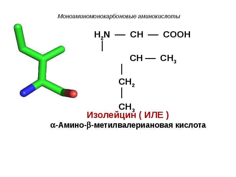 Амины аминокислоты белки презентация