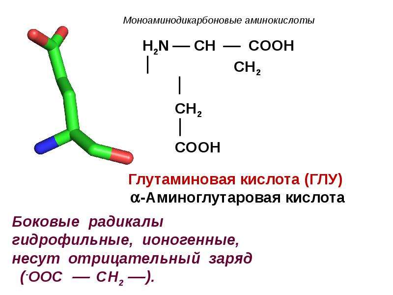 Аминокислоты белки 9 класс химия презентация