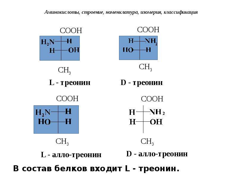 Строение аминокислот. 2.Строение аминокислот, номенклатура, изомерия..