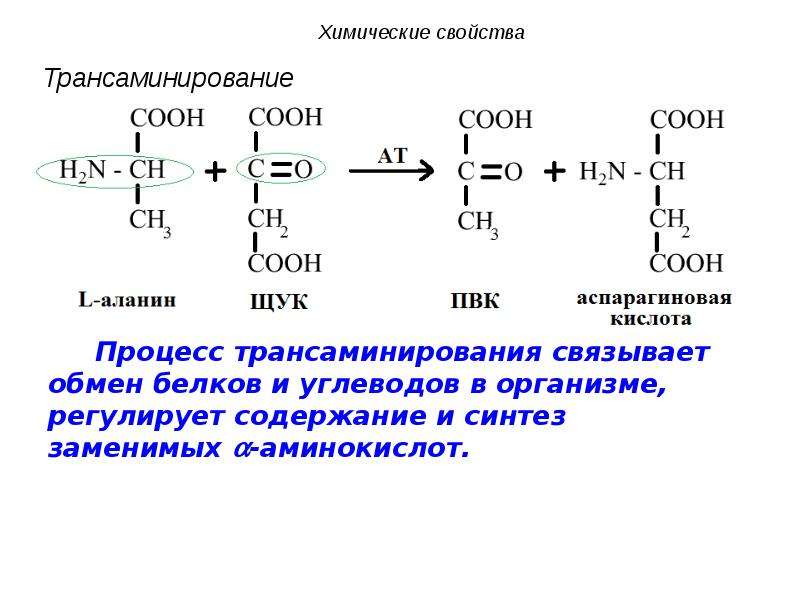 Трансаминирование аланина