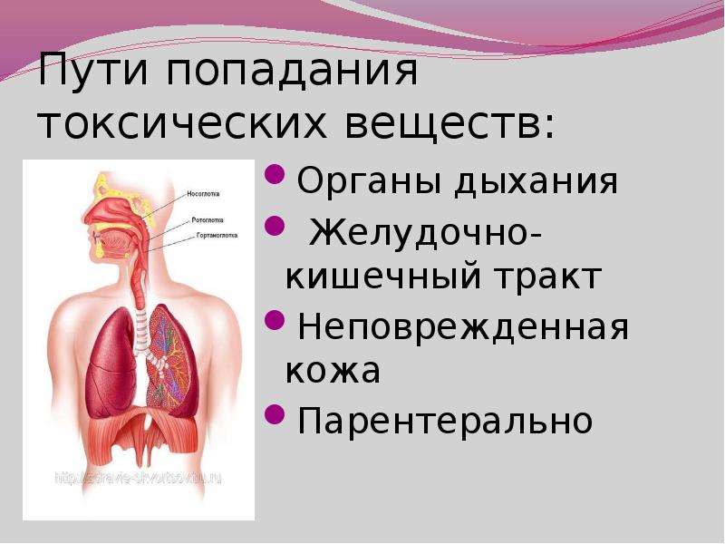 Попадания в организм. Пути попадания токсических веществ в организм. Пути попадания токсического вещества в организм человека. Пути попадания токсичного вещества (яда) в организм человека.. Перечислите пути попадания в организм ядовитых веществ.