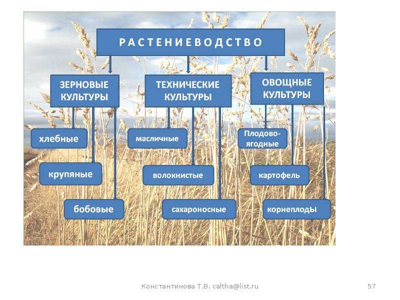 Презентация что такое хозяйство страны 8 класс