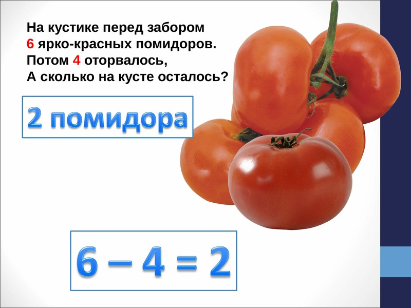 Помидор сколько держит. Вычитание чисел 6 и 7. Сколько помидоров осталось. Вычитание чисел 6 и 7 Каринка.