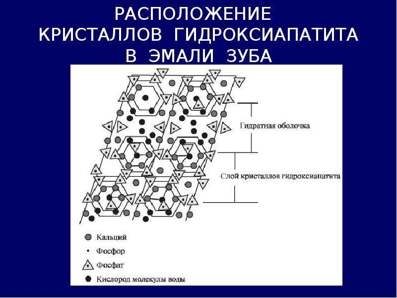 Презентация биохимия полости рта