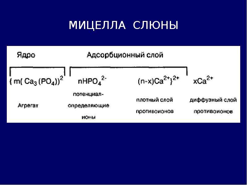 Строение слюны