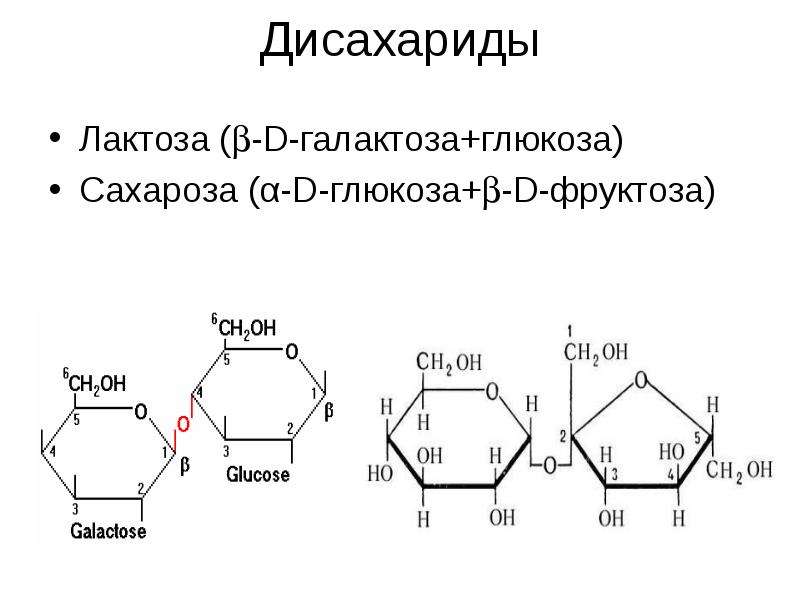 Глюкоза фруктоза сахароза относятся к. Дисахариды: мальтоза, сахароза, лактоза, изомальтоза. Фруктоза + галактоза дисахарид. Формула Глюкозы лактозы фруктозы. Лактоза Глюкоза галактоза.