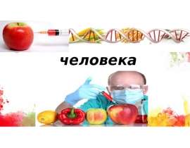 ГМО в жизни человека