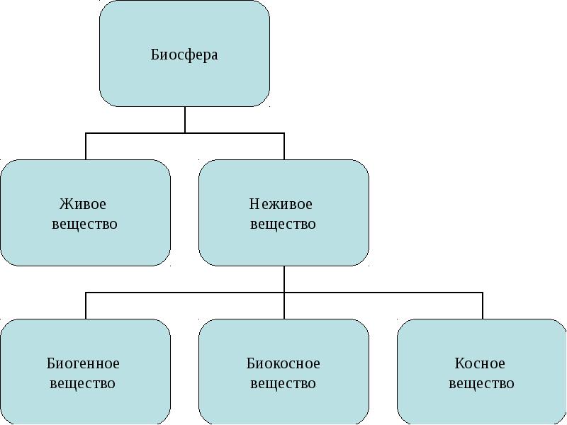 Живое вещество состоит