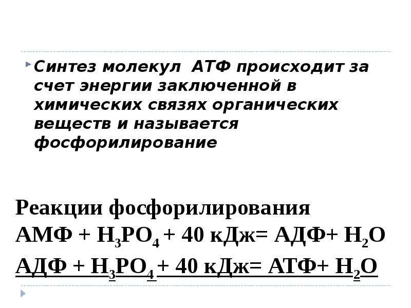 Синтез молекул. Синтез 36 молекул АТФ происходит в процессе. Синтез 2 молекул АТФ. Синтез молекул АТФ осуществляется за счёт энергии. За счет какой энергии происходит Синтез АТФ.