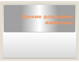 Зрение домашних животных