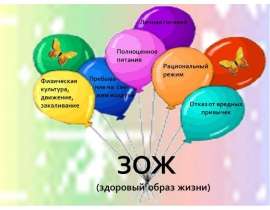 ЗОЖ (Здоровый образ жизни)